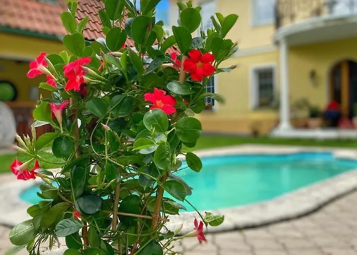 بيت ضيافة Na Stare Poste