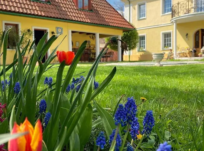 Na Stare Poste 4* نيمبورك