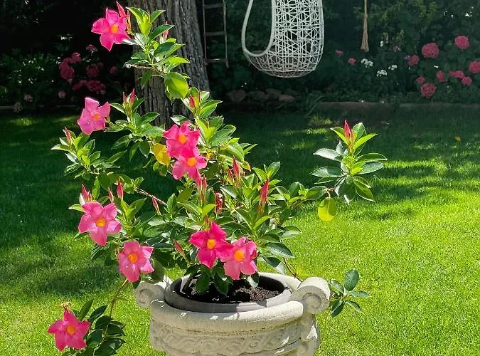 بيت ضيافة Na Stare Poste